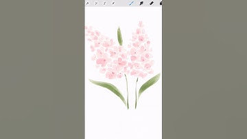 how to paint flowers on procreate