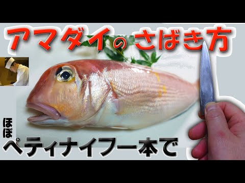 幻の天然クエのさばき方 ４ How To Cuting Of Kue Youtube