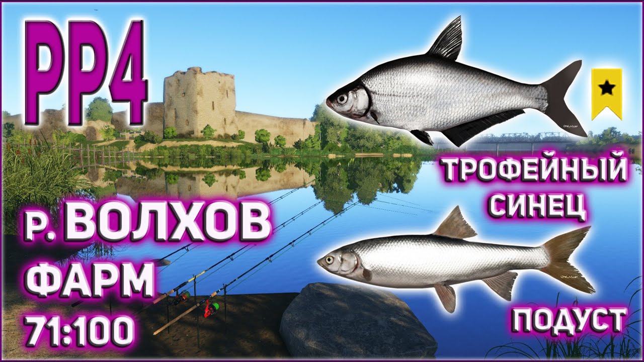 Волга синец рр3