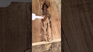 #woodworkingtips #woodworkingskills #carpenter #finewoodworking #woodworkingcommunity #woodworking