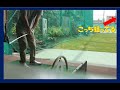 ゴルフ練習 1番左打席から 右端のネットを狙う