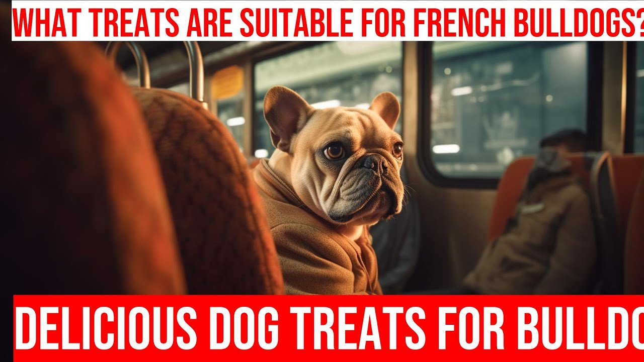 Healthy & Delicious DIY Dog Treats for French Bulldogs YouTube