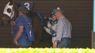 Sofia Barandela From Veterinarian To Jockey