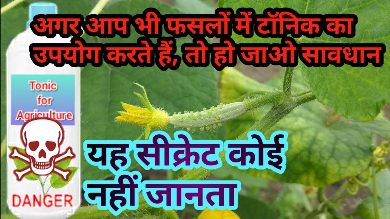 Janiye tonic ya jaivik khad kya achcha hota hai fasal ke liye YouTube