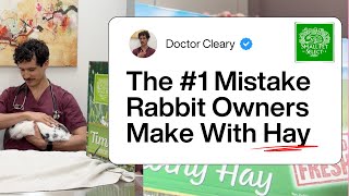 The Mistake Rabbit Owners Make With Timothy Hay A Vet Explains