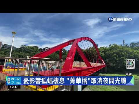 瀕臨絕種! 花蓮菁華橋取消光雕護台灣狐蝠｜華視新聞 20220606