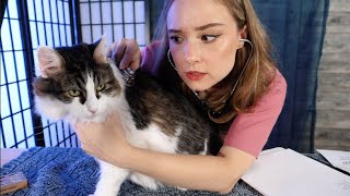 ASMR Cranial Nerve Exam On My CAT (You Are My Trainee) | Cat Sounds, Purring, Eating Treats