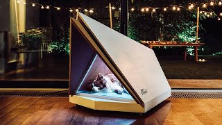 5 Best Cool Gadgets for Your Dog in 2024 by BEST REVIEWS 567 views 2 months ago 4 minutes, 8 seconds