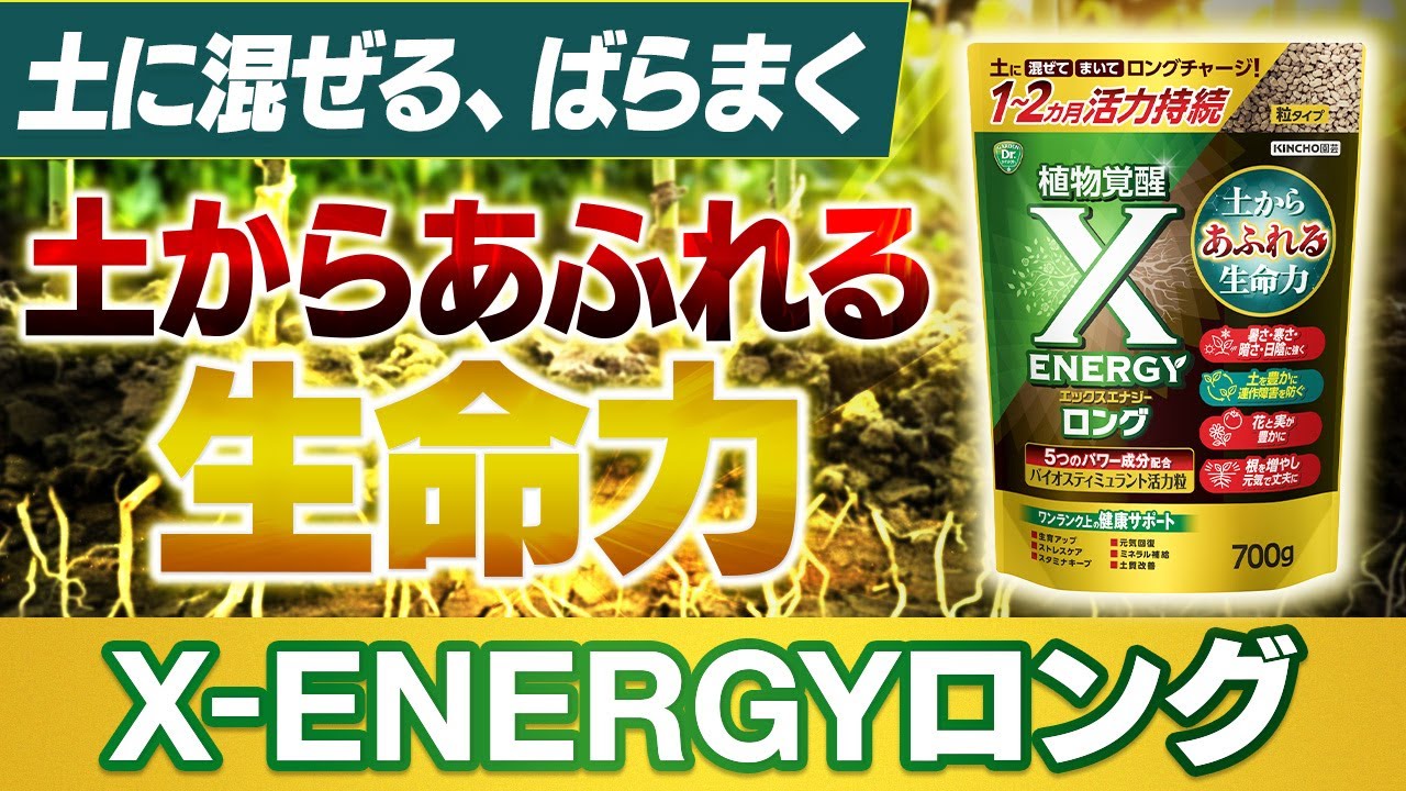 Mix into the soil, scatter. The vitality of the soil overflows ~ X