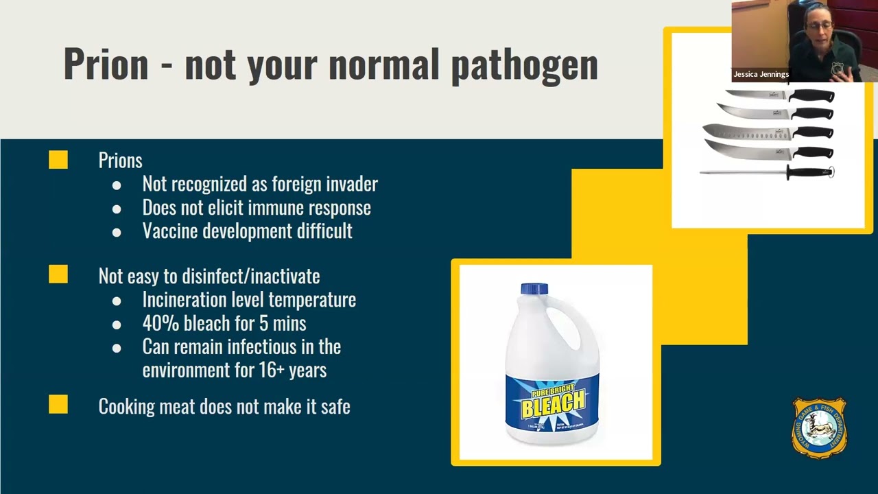 Wild Sheep Webinar Series - Chronic Wasting Disease, Epidemiology and Transmission