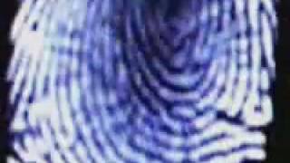 Fibonacci - God's Fingerprint
