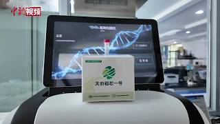 Exploring Sichuan's First Liquid Rice Breeding Chip: Powering the 'Granary of Heaven' with New Tech