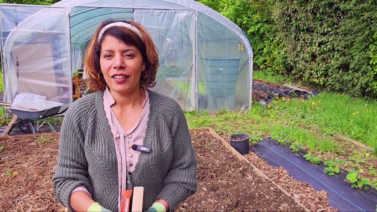 طريقة تحضير الرماد الطبيعي للتربة وحوض الزراعة#تربة_خصبة #الزراعة_الطبيعية#زراعت