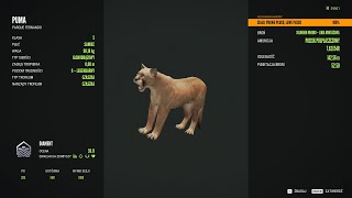 W końcu! po tylu latach mam diament pumę!!! #nowy #gaming #epic #fajne #cotw #diament #szczęście screenshot 3