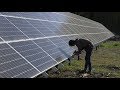 This is the solar farm oil company employees built