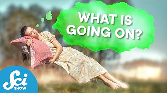 What Are We Really Doing While We Sleep | Compilation thumbnail