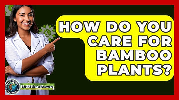 How Do You Care For Bamboo Plants? - Earth Science Answers
