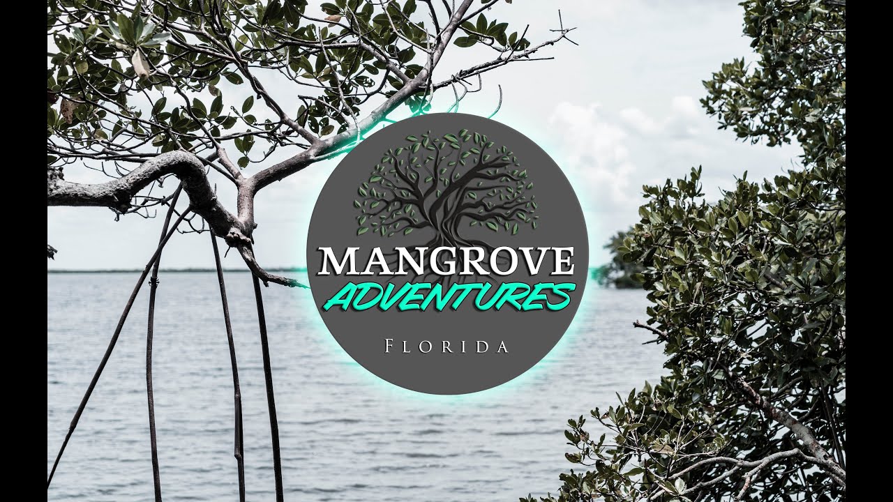 Mangrove Adventures - BOTE HD Overview