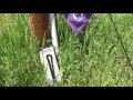 Quick Tip: Easy DIY Flag Holder Quick Tip: Easy DIY Flag Holder