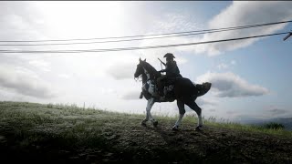 (live)Can i walk across the whole map without dying in Red Dead Online??|RDR2 Online