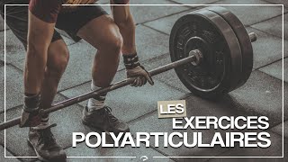 Tout savoir sur les EXERCICES POLYARTICULAIRES en musculation ! (les meilleurs, les avantages …)