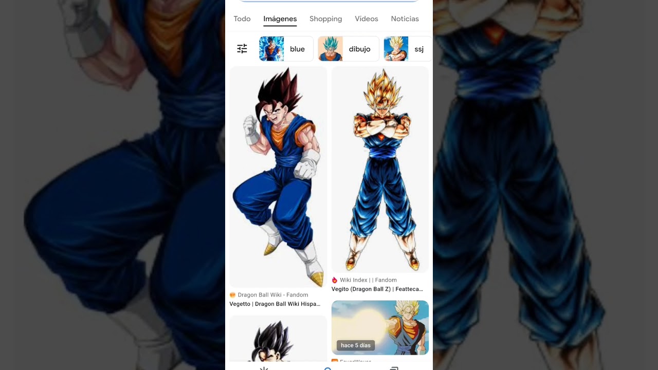 Vegito, Dragon Ball Wiki