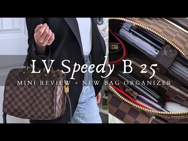 LV Speedy B 25 Review  CloverSac Bag Organiser 