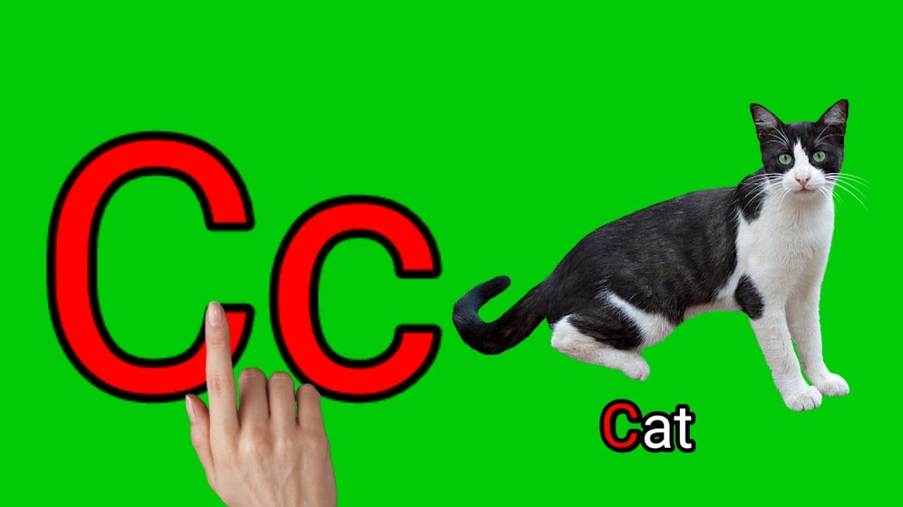 Alphabet C With Phonic Sound I Let s Learn The Letter C I Words That