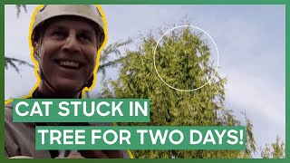 Shaun Rescues A Cat Stuck In A Tree For TWO DAYS! 🐈🌳 | Treetop Cat Rescue