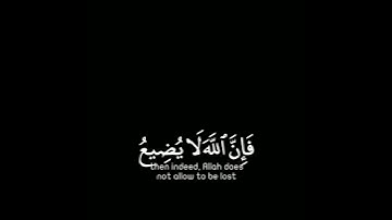 كرومات قرآن | القارئ: طارق محمد | سورة يوسف الأية 90.