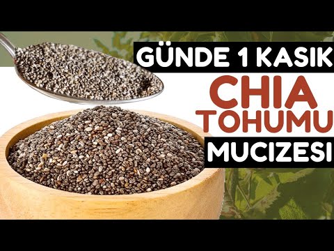 Her Sabah 1 Kaşık Chia Tohumu Vücudunuza Bunları Yapıyor | Chia Tohumunun Faydaları Nelerdir?