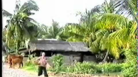 YouTube   Ngọc Sơn Lòng mẹ http   ngocson com forum showthread php t 4579