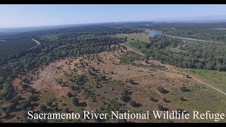 Sacramento River National Wildlife Refuge
