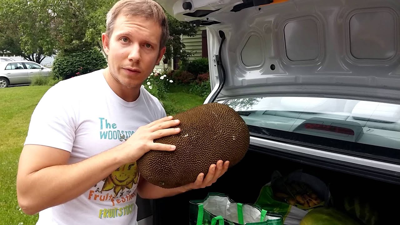 how much i buy for a week on a fruit based vegan diet jerrys fruit market and the last wff youtube - Jerrys Fruit And Garden how much i buy for a week on a fruit based vegan diet jerrys fruit market and the last wff youtube - Jerrys Fruit And Garden