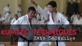 Kato Sadashige kumite exercises
