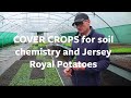 COVER CROPS for soil chemistry and Jersey Royal Potatoes with Glyn Mitchell - First Hand