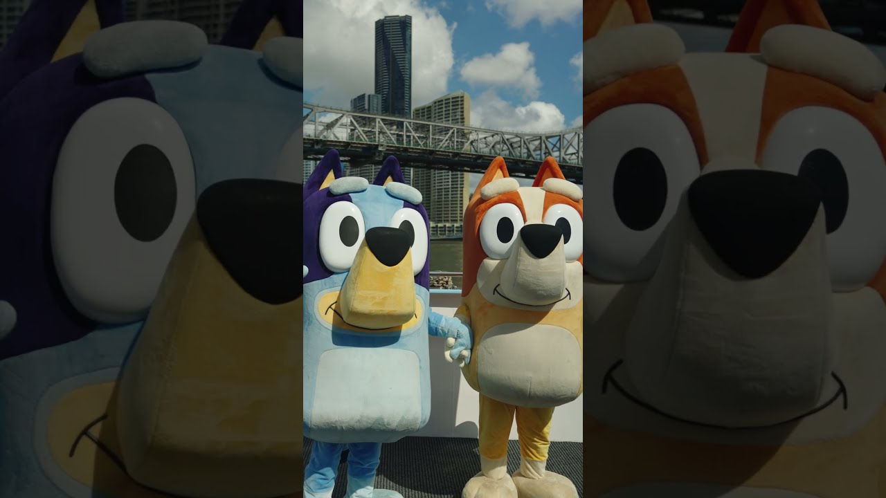 Brisbane Welcomes Bluey And Bingo Themed CityDogs Ytshorts