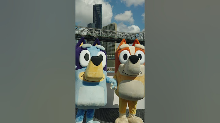 Brisbane Welcomes Bluey and Bingo Themed CityDogs 💙🧡 | Bluey #ytshorts