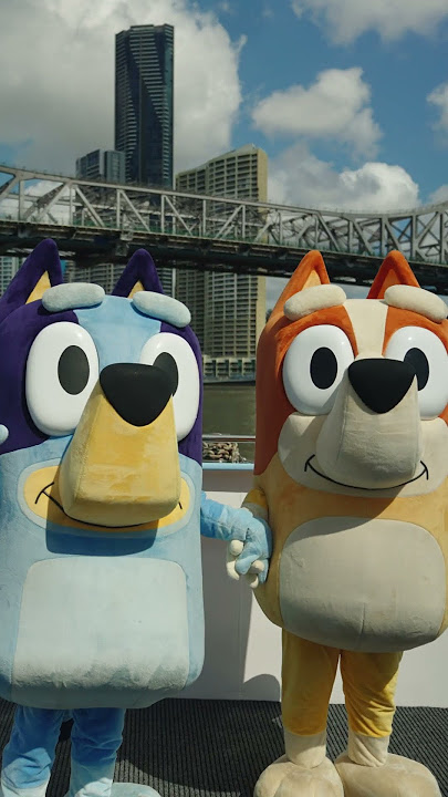 Brisbane Welcomes Bluey and Bingo Themed CityDogs 💙🧡 | Bluey #ytshorts