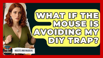 What If The Mouse Is Avoiding My DIY Trap? - Insects and Invaders
