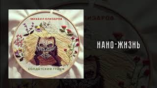 Михаил Елизаров — Нано-жизнь