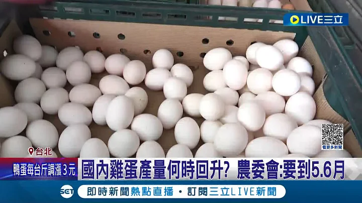 "蛋价"创历史新高! 鸡蛋涨价破七成 "鸭蛋"接连调涨3元 农委会主委陈吉仲:反映成本很正常.缺蛋情况预估到六月│记者 程彦豪 葛子纲│【LIVE大现场】20230310│三立新闻台 - 天天要闻