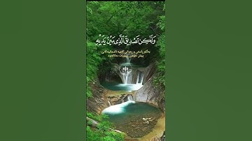 ايات السكينةمن 💚القران الكريم 💚تلاوة هادئة تريح القلب ♥🎧 #اكسبلور #دويتو #لايك #راحة_نفسية #تيك_توك