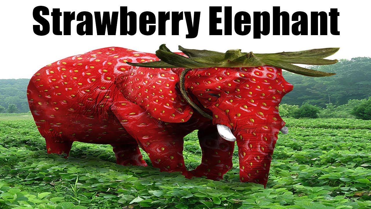 How to get Strawberry Elephant in Find the Memes YouTube