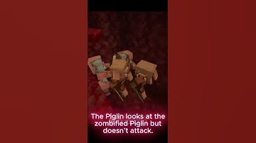 Why Don’t Piglins Attack Zombified Piglins? 🐷🔥 #shorts #minecraft #minecraftshorts #minecraftfacts