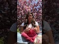 A day well spent knitting under the blossoms 🌸 #knitting #knit #aesthetic #craft #spring #flowers