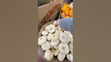 shop with me at trader joe’s🎃🍂 #traderjoes #fall #shopping #shopwithme #fallvibes #aesthetic