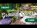 7 ground cover plants for front yard landscaping 