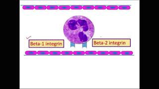 #MOTD6case6 #IOTDcase6 INFLAMMATION-CELLULAR EVENTS