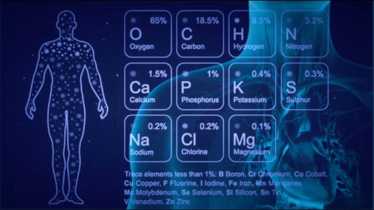 Sprawdzian Biochemia Biologia 2 Odkrywamy Na Nowo Biochemia przebudzenia nadświadomości 6 | 13-17 - YouTube